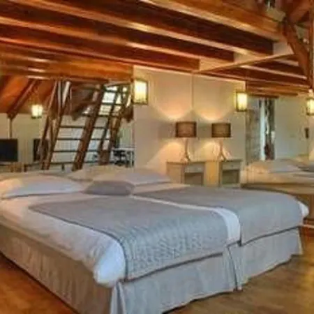 Lion D'or Aparthotel 4*